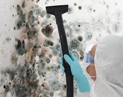 Best Forensic Mold Investigation  in Wake Village, TX